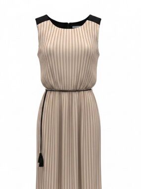 Jennifer Lopez Beige Pleated Maxi Dress with Black Trim